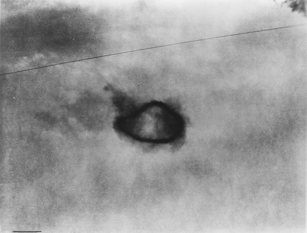 unidentified flying object, Santa Ana California, 1965